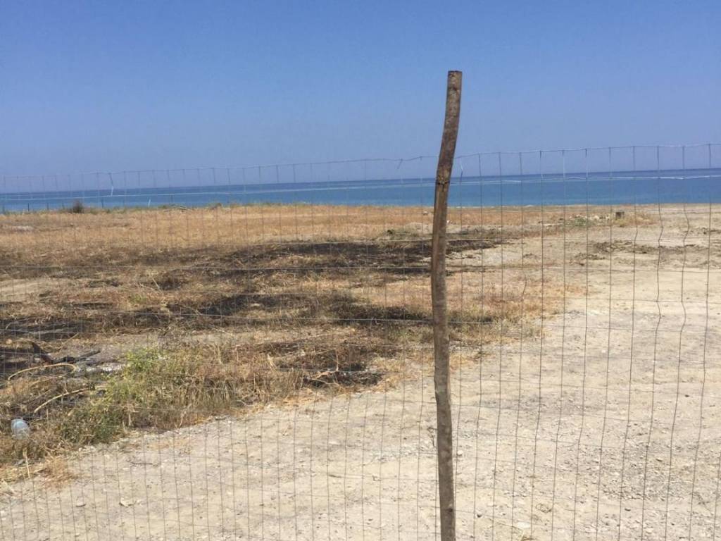 Terreno a Pietrapaola - Foto 4