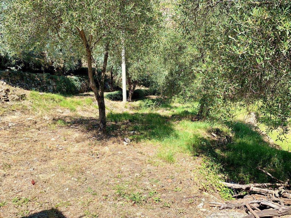 Rustico / casale a Imperia in Via Campi Rossi - Foto 2
