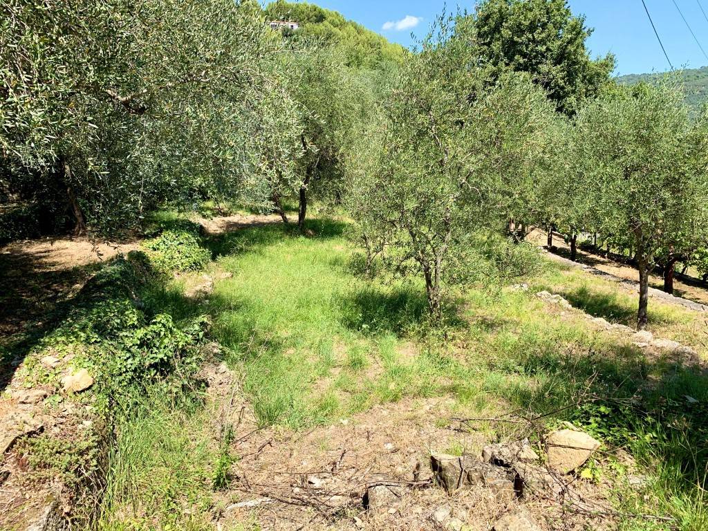 Rustico / casale a Imperia in Via Campi Rossi - Foto 4