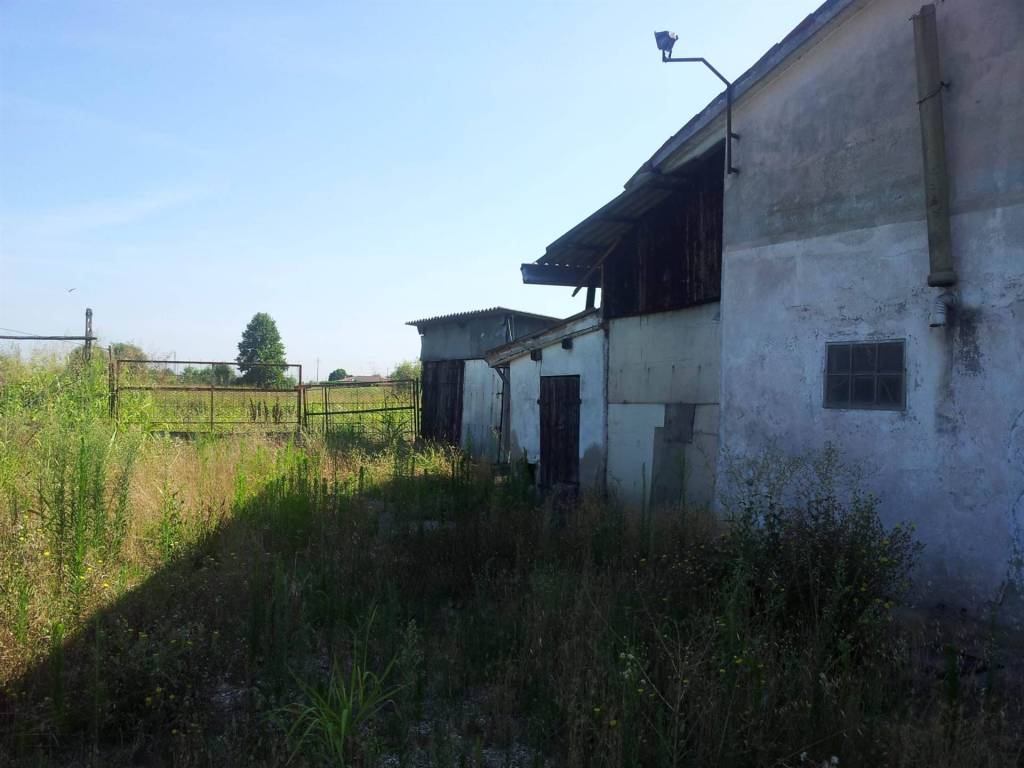 Villa a Correzzola - Foto 3