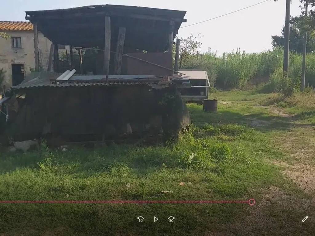 Rustico / casale a Quarrata - Foto 4