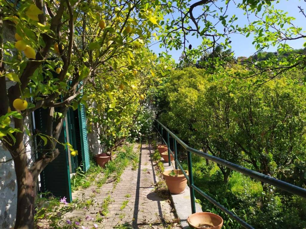 Villa a Noli - Foto 4