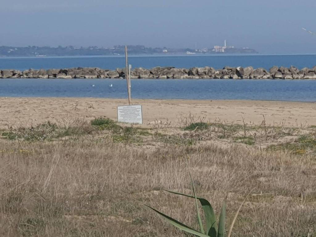 Terreno a Montenero di bisaccia in Contrada Padula - Foto 2