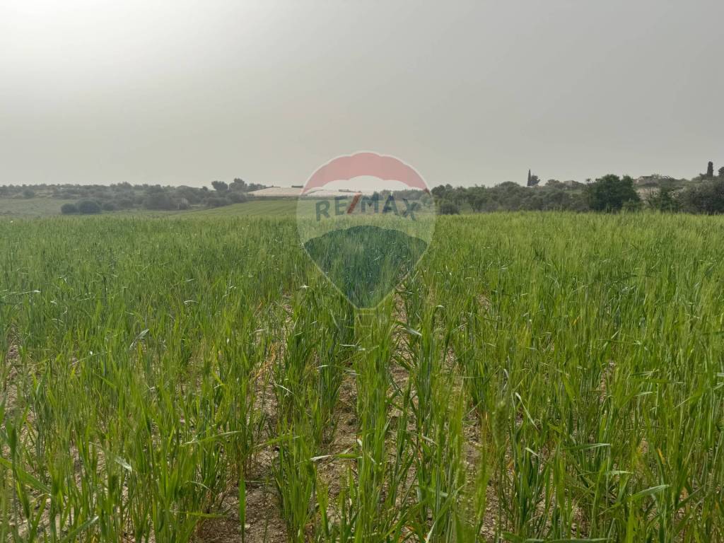 Terreno a Noto in Contrada Bufalefi - Foto 3