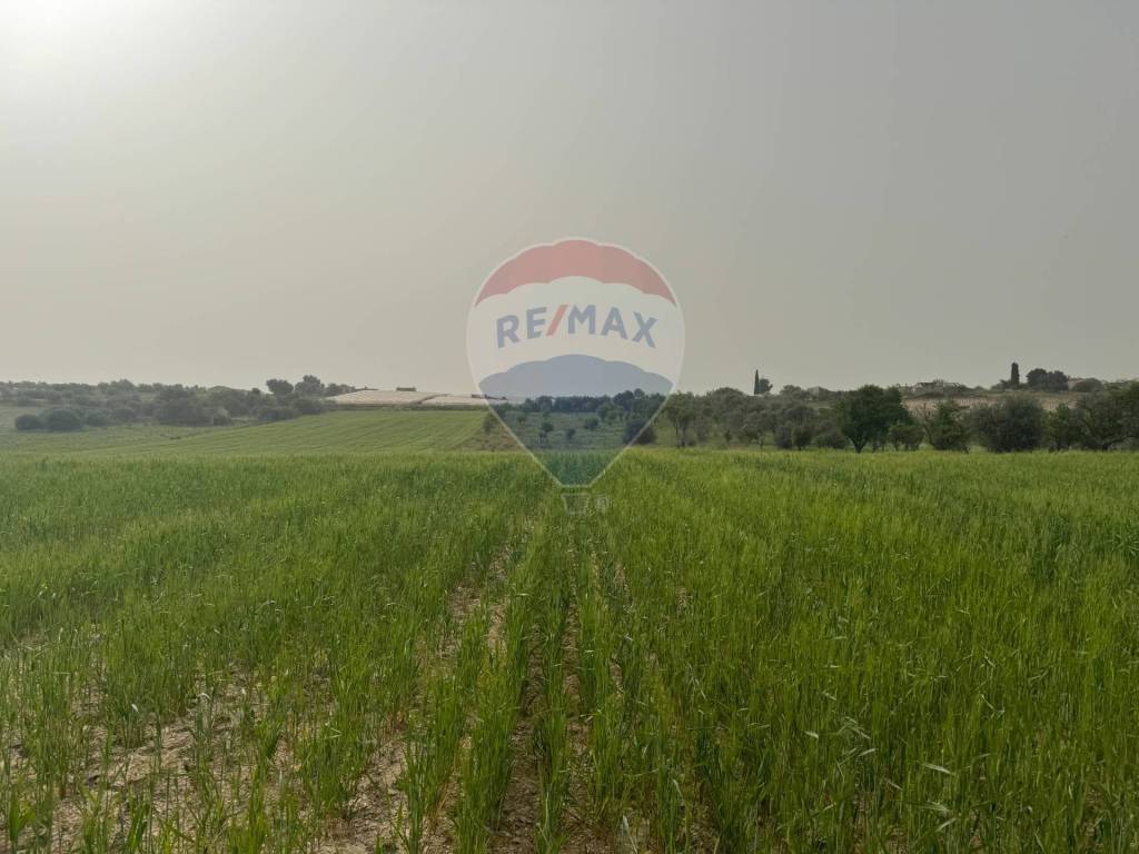 Terreno a Noto in Contrada Bufalefi - Foto 4