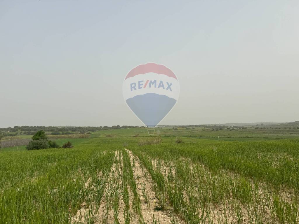 Terreno a Noto in Contrada Bufalefi - Foto 5