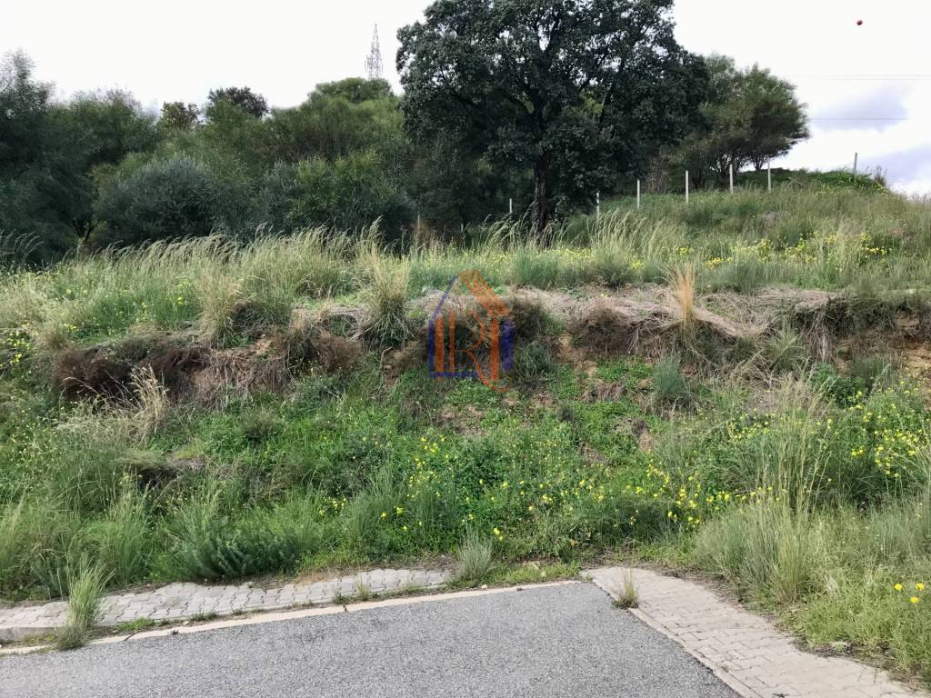 Terreno a Montepaone in Via 1 Maggio - Foto 5