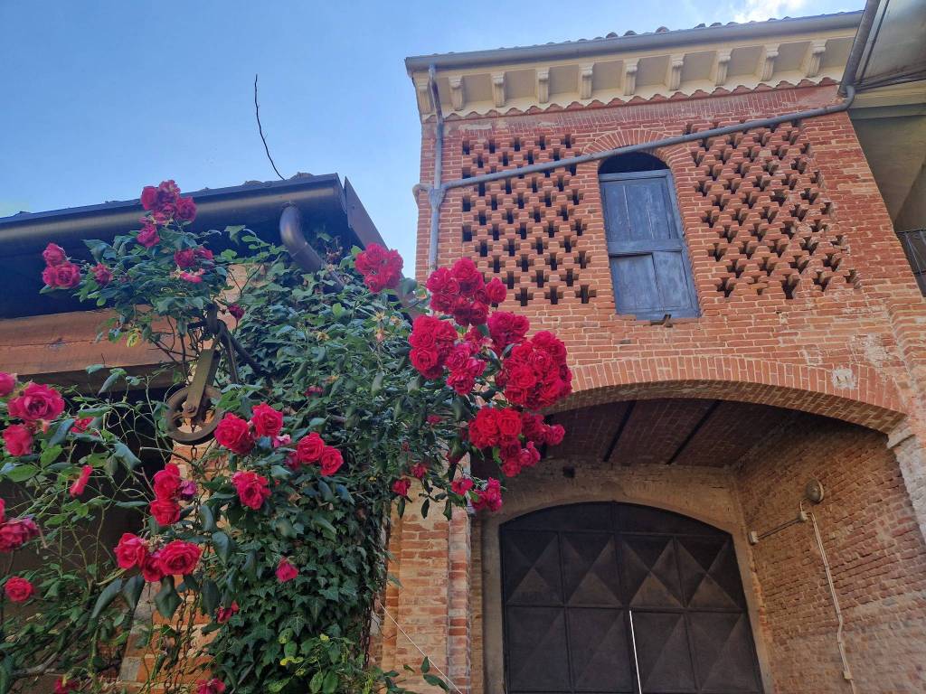 Rustico / casale a Fubine monferrato - Foto 3