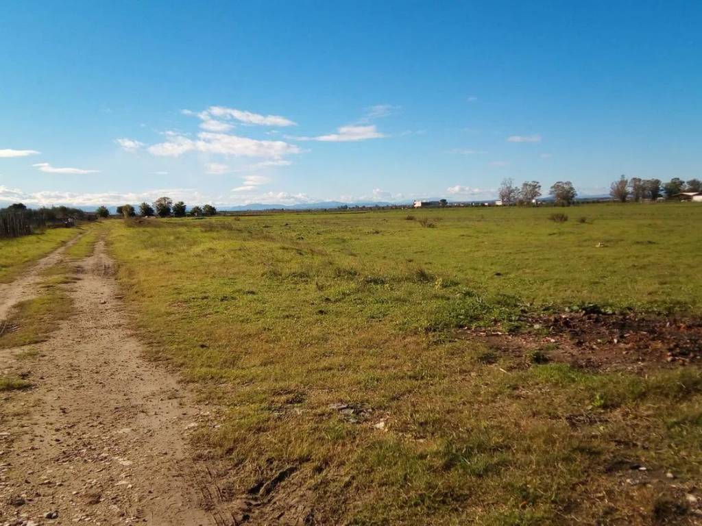 Terreno a Ginosa in Via Delle Ginestre S.N.C. - Foto 2
