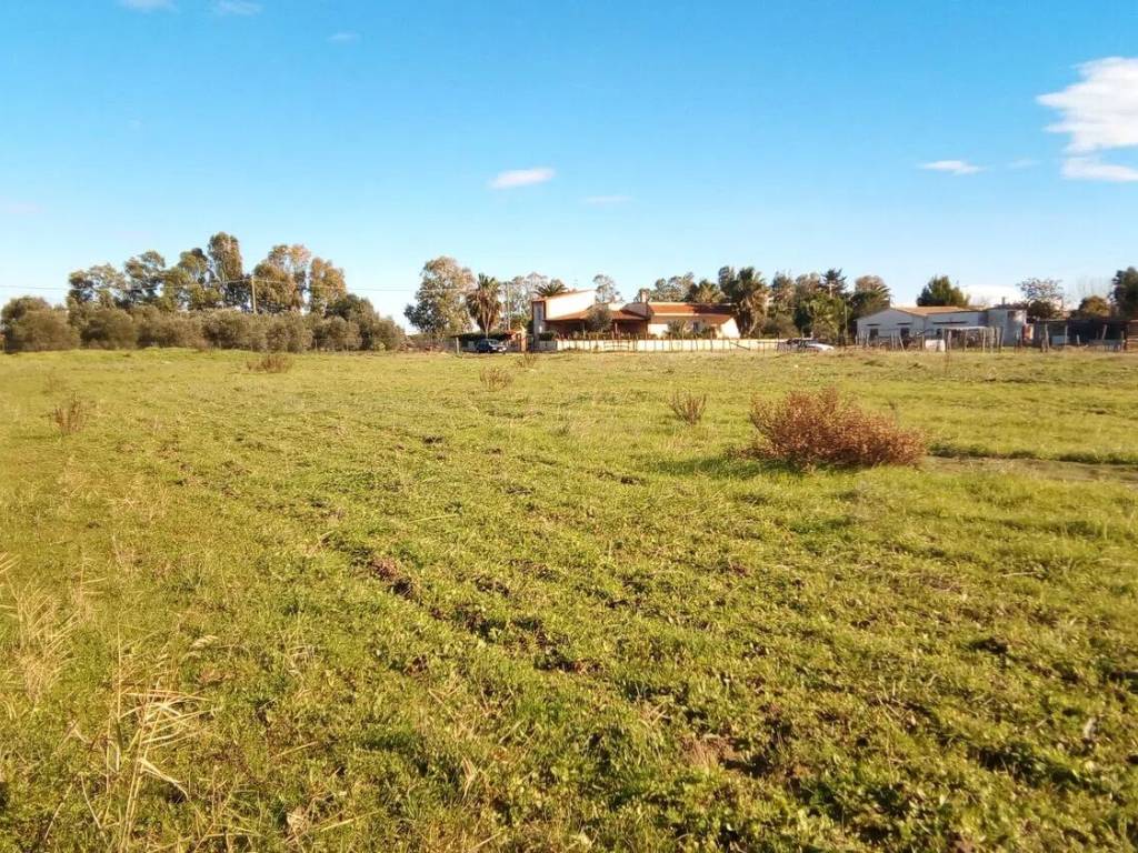 Terreno a Ginosa in Via Delle Ginestre S.N.C. - Foto 4