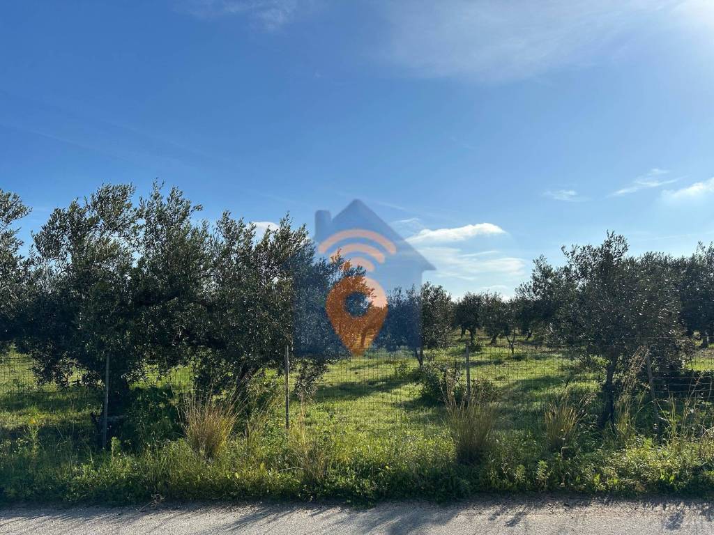 Terreno a Castelvetrano - Foto 3