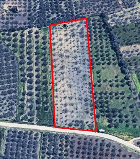 Terreno a Castelvetrano - Foto 4