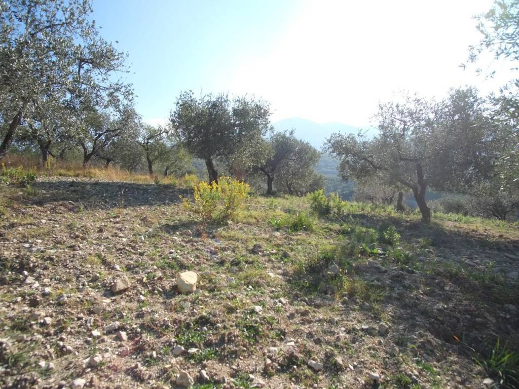 Terreno a Scandriglia in Via Umberto I, 15 - Foto 2
