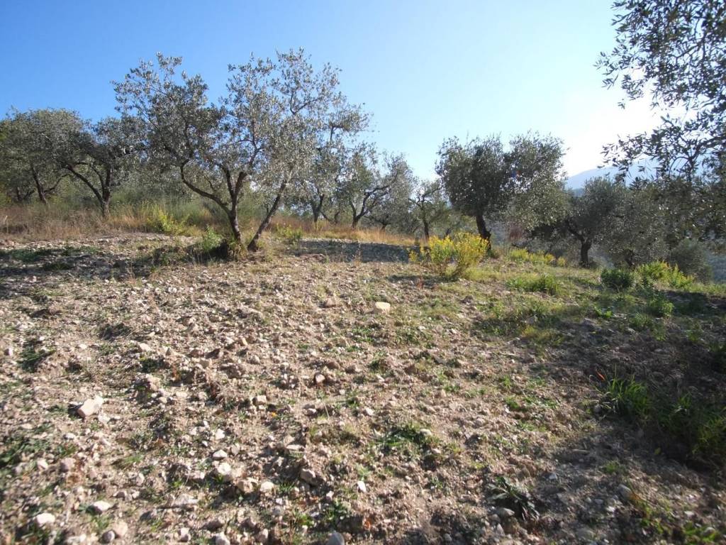 Terreno a Scandriglia in Via Umberto I, 15 - Foto 3