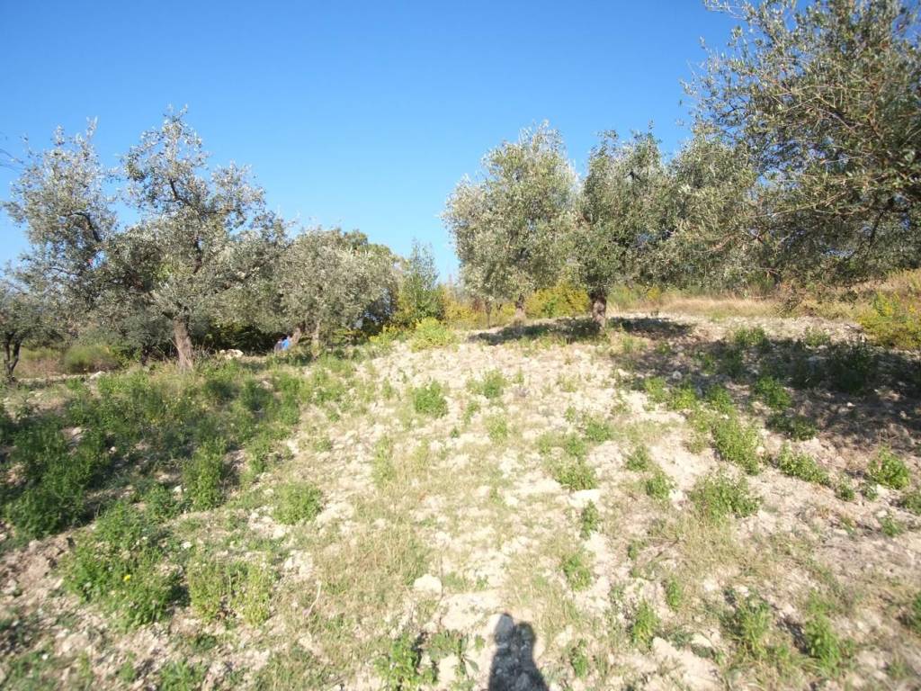 Terreno a Scandriglia in Via Umberto I, 15 - Foto 4