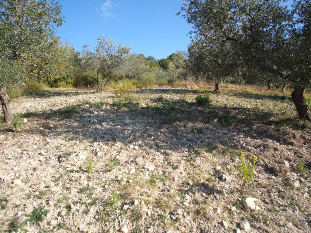 Terreno a Scandriglia in Via Umberto I, 15 - Foto 5