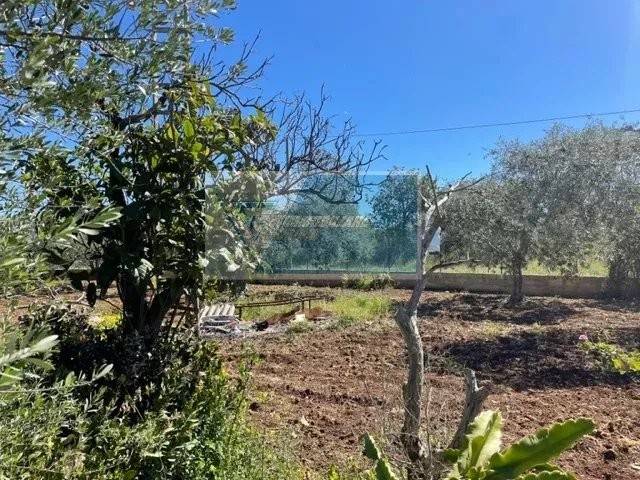 Terreno a Melilli in C.da Spalla - Foto 2