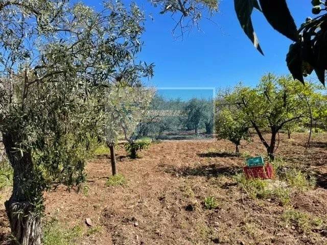 Terreno a Melilli in C.da Spalla - Foto 5