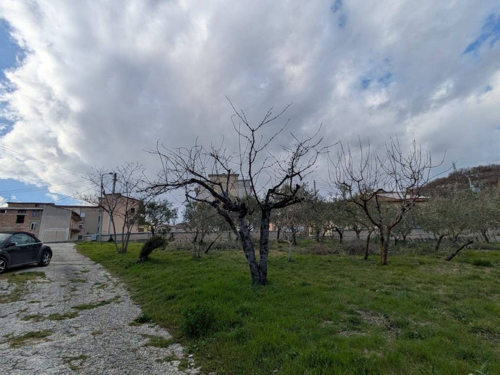 Casa indipendente a Castelpetroso in Via Rondine, 9 - Foto 4