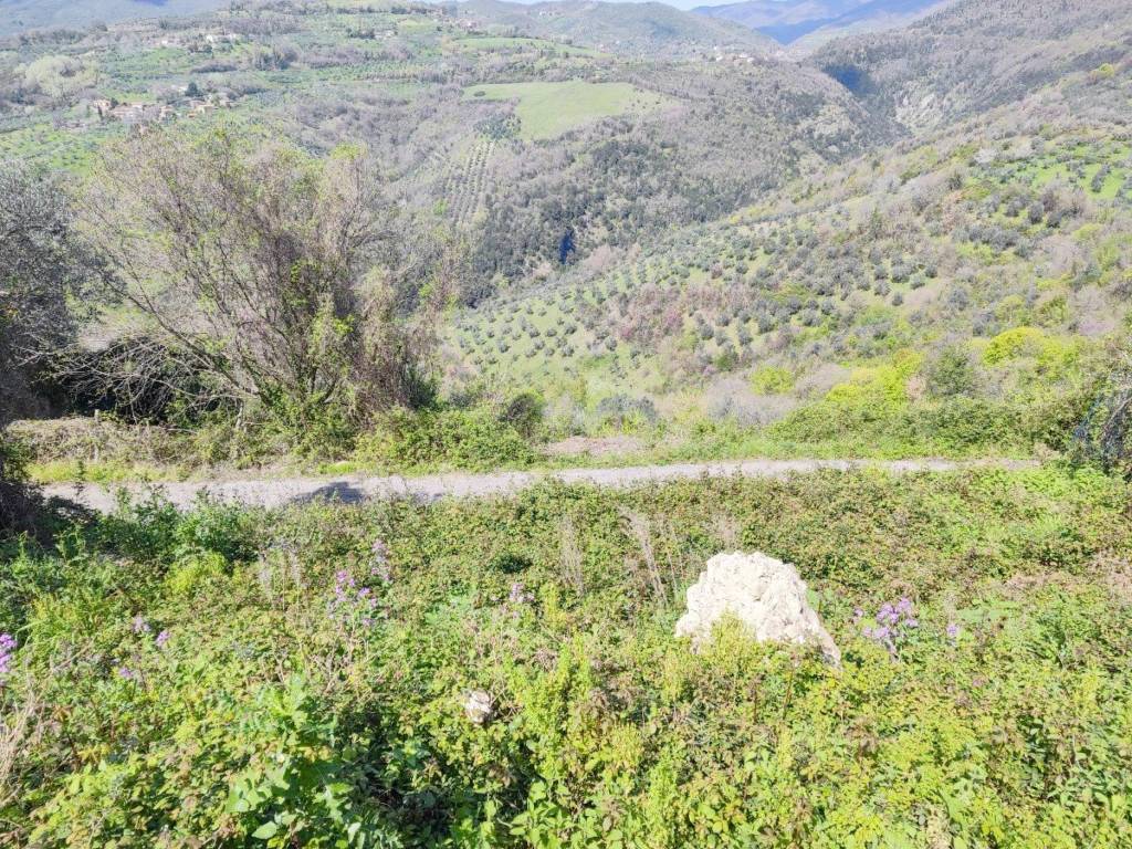 Rustico / casale a Casaprota in Località Lavatoi - Foto 2