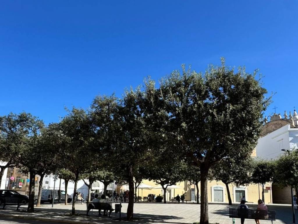 Casa indipendente a Monopoli in Piazza Alessandro Manzoni - Foto 2