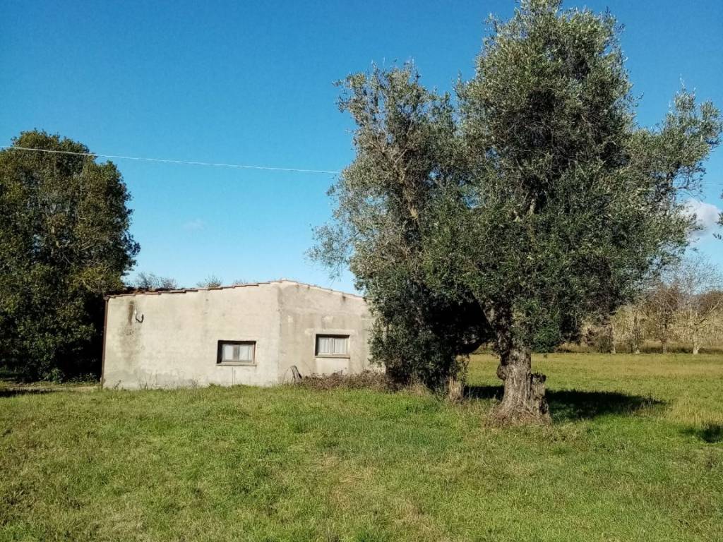 Rustico / casale a Pitigliano in Località San Lorenzo - Foto 2