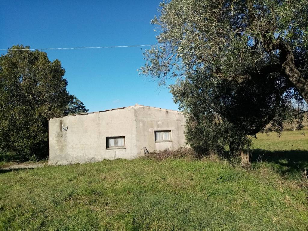 Rustico / casale a Pitigliano in Località San Lorenzo - Foto 3