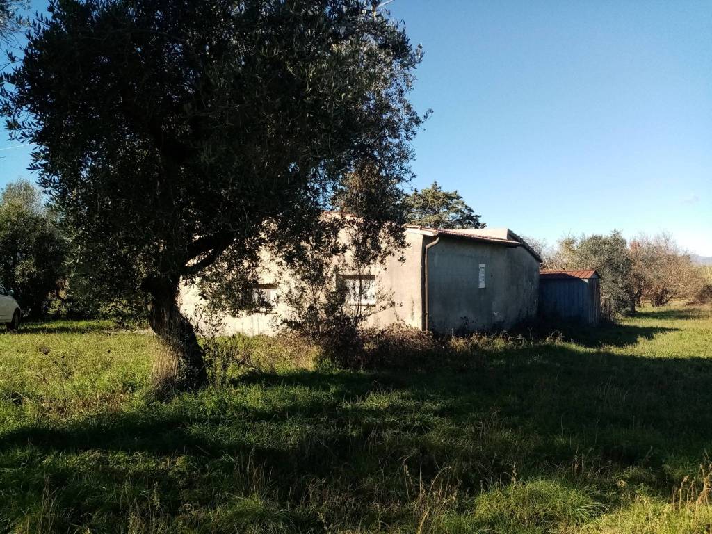 Rustico / casale a Pitigliano in Località San Lorenzo - Foto 4