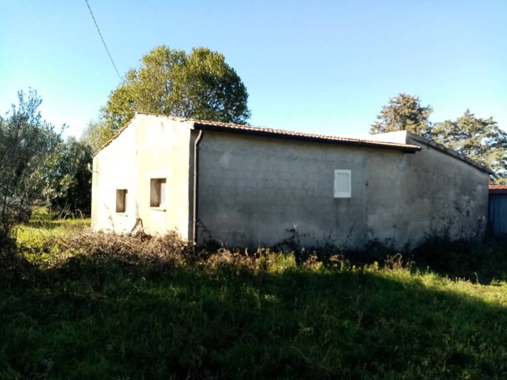 Rustico / casale a Pitigliano in Località San Lorenzo - Foto 5