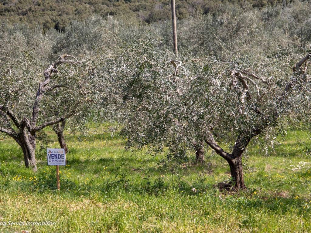 Terreno a Guardea in Strada Statale Amerina - Foto 2