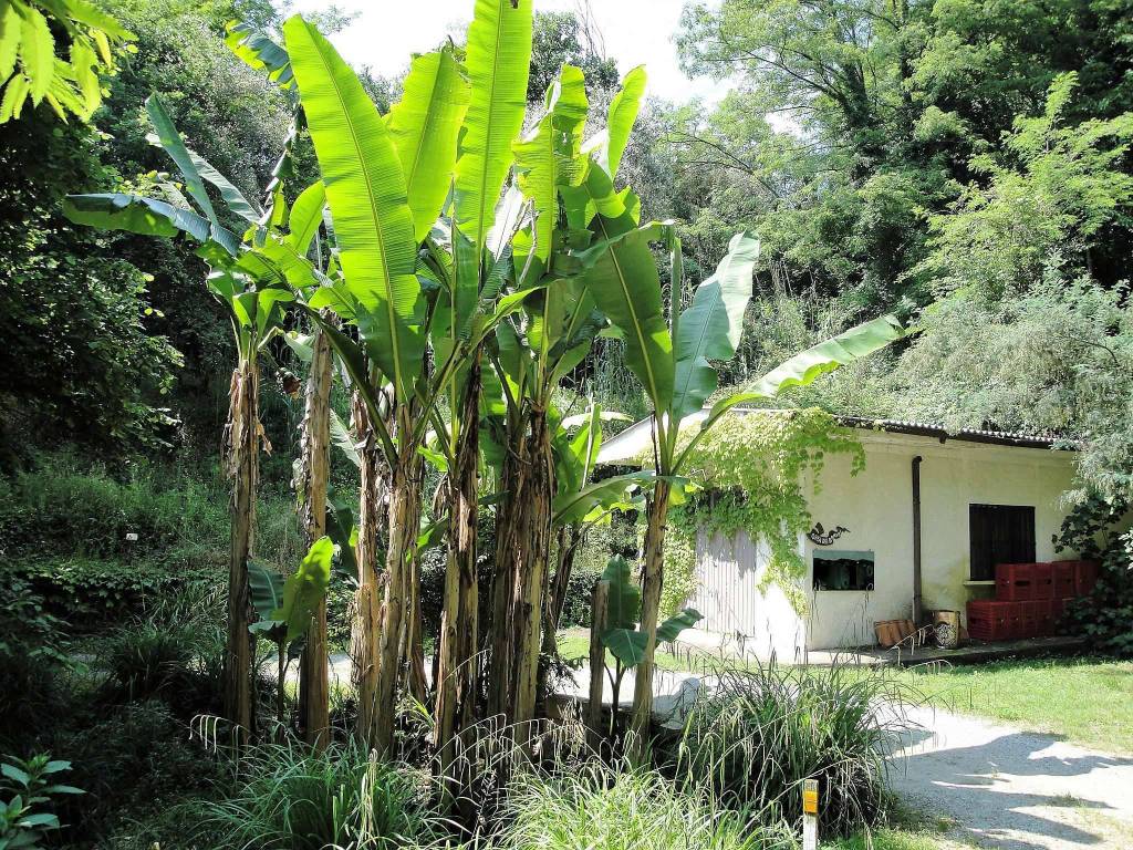 Villa a Monsummano terme in via Bruno Buozzi - Foto 5