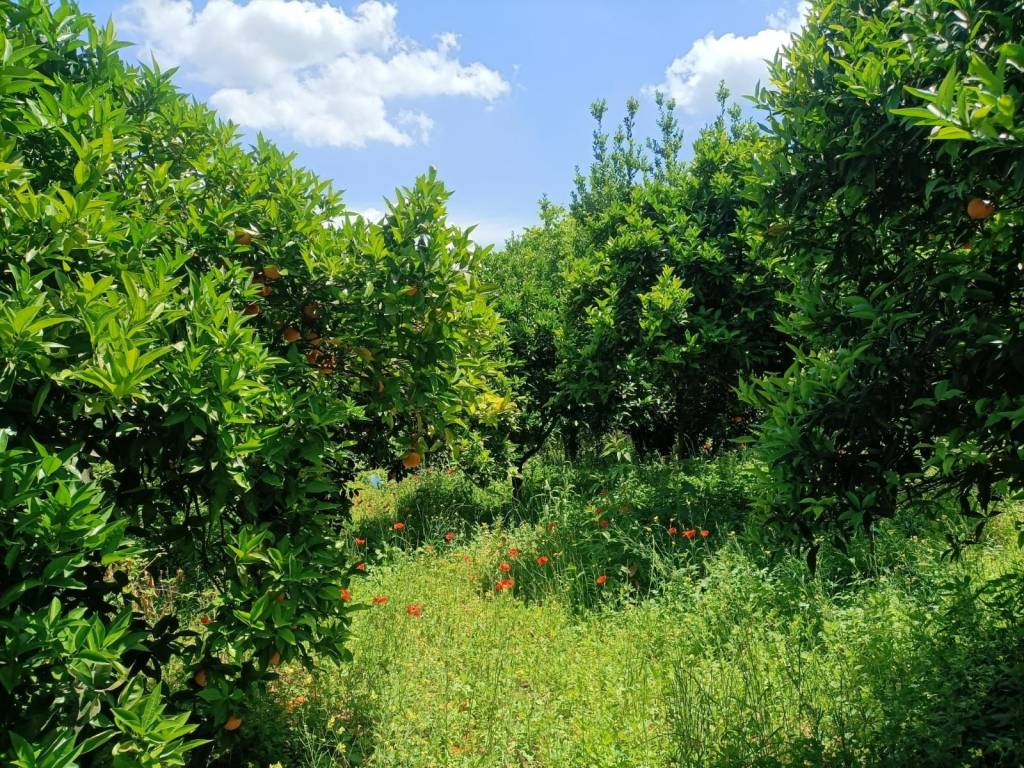 Terreno a Nocera inferiore in Via degli Olivetani, 15 - Foto 3