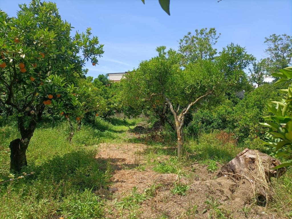Terreno a Nocera inferiore in Via degli Olivetani, 15 - Foto 5