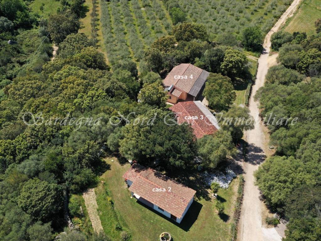 Rustico / casale a Loiri porto san paolo in Frazione Ovilò - Foto 4