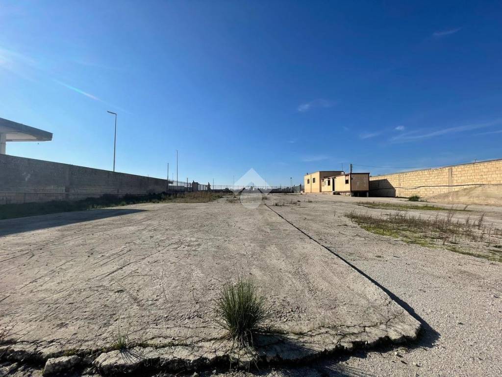 Immobile a Cerignola in SS 16 - Foto 4