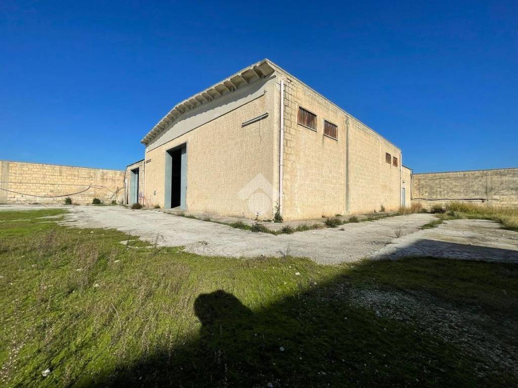 Immobile a Cerignola in SS 16 - Foto 5