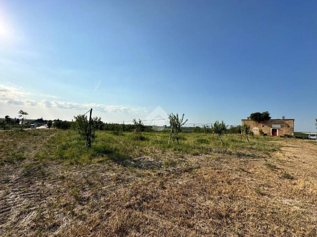 Terreno a Cerignola in via SP 231 KM3 - Foto 2