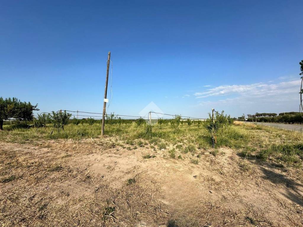 Terreno a Cerignola in via SP 231 KM3 - Foto 4