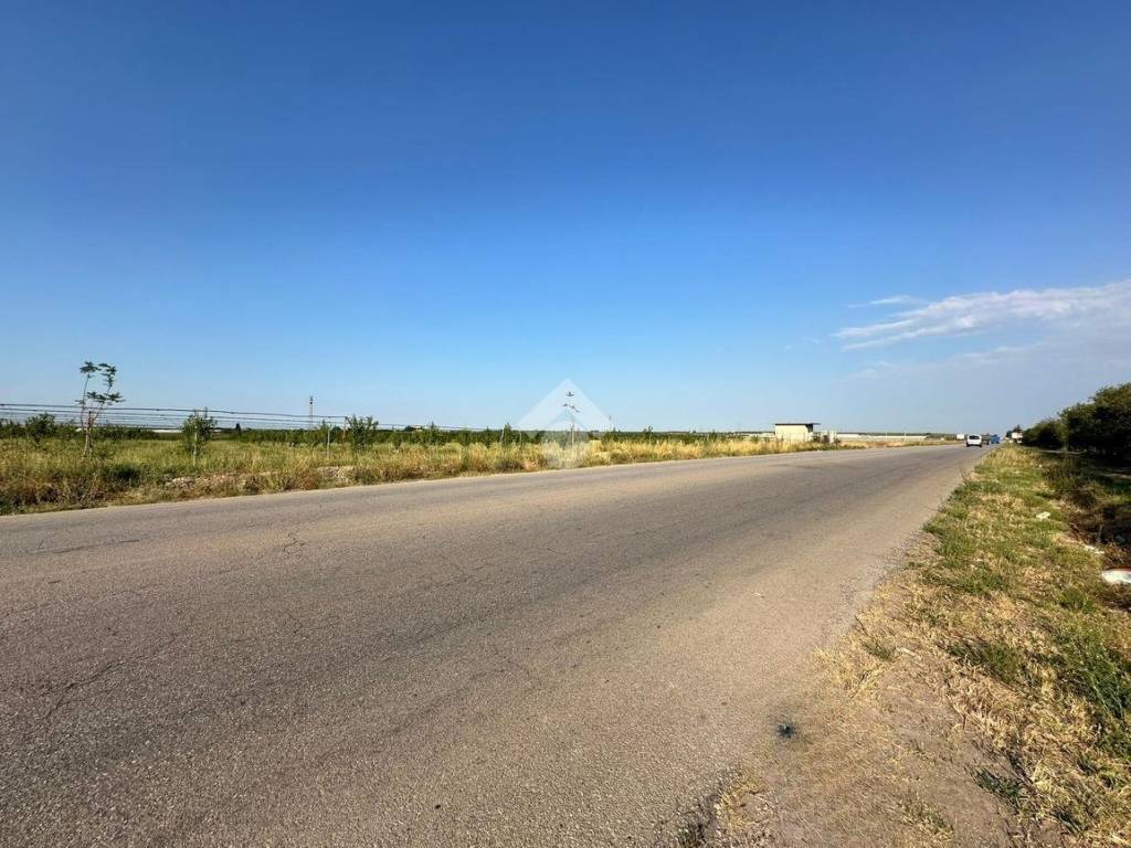 Terreno a Cerignola in via SP 231 KM3 - Foto 5