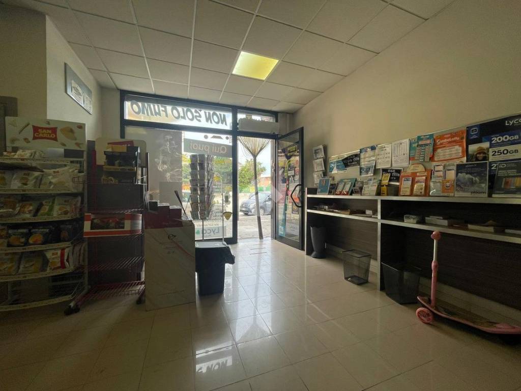 Immobile a Cerignola in Zona Palmizi - Foto 4