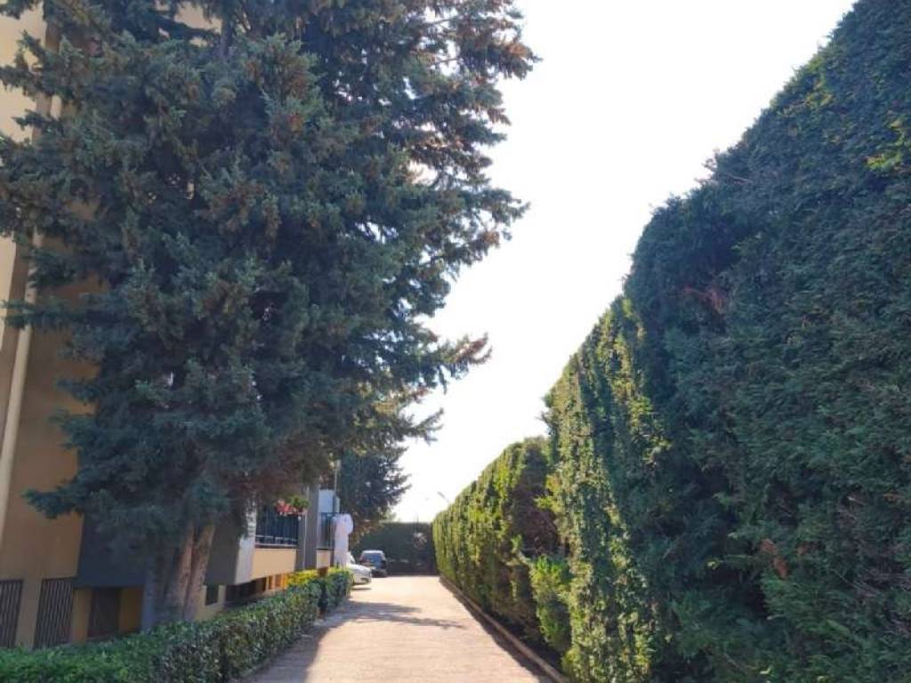 Appartamento a Bitritto in via Armando Diaz - Foto 5