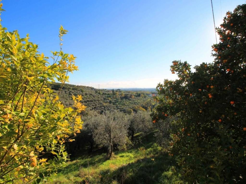 Rustico / casale a Larciano in Via Spinelli - Foto 4