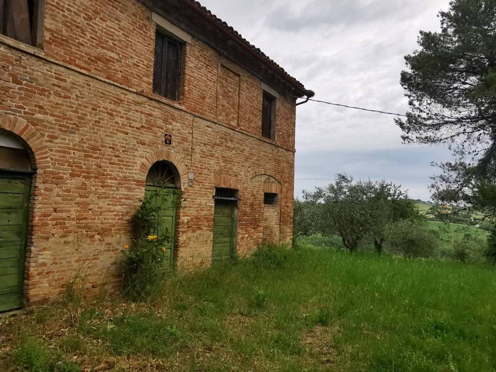 Rustico / casale a Mondavio - Foto 2