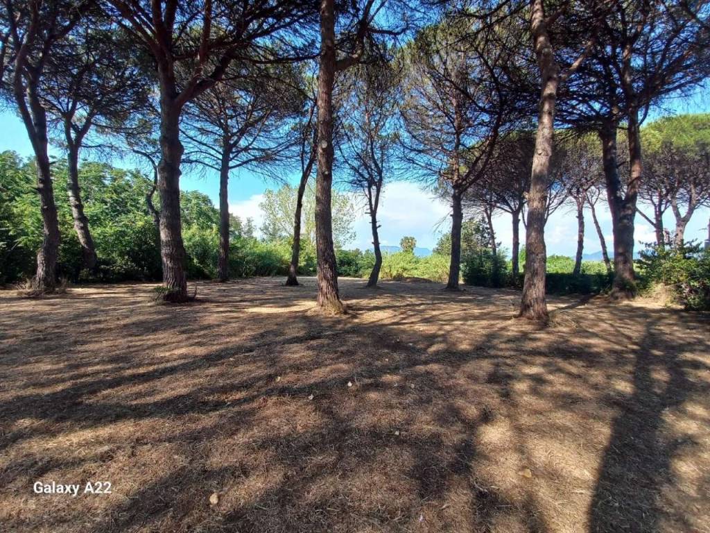 Terreno a Cellole in via Pietre Bianche - Foto 2