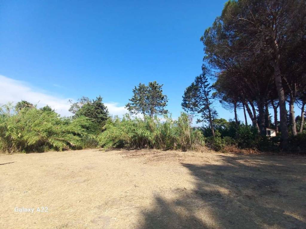 Terreno a Cellole in via Pietre Bianche - Foto 3