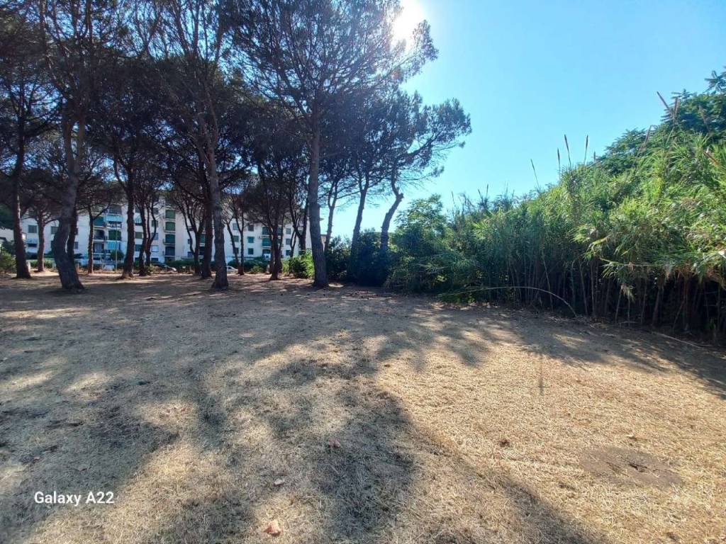 Terreno a Cellole in via Pietre Bianche - Foto 4