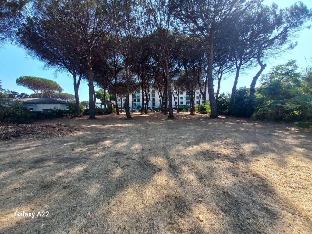 Terreno a Cellole in via Pietre Bianche - Foto 5