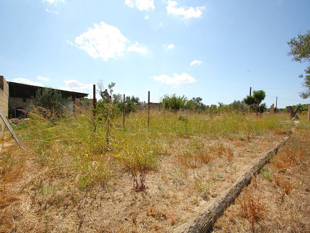 Terreno a Matino in Strada Vicinale di Calori - Foto 3