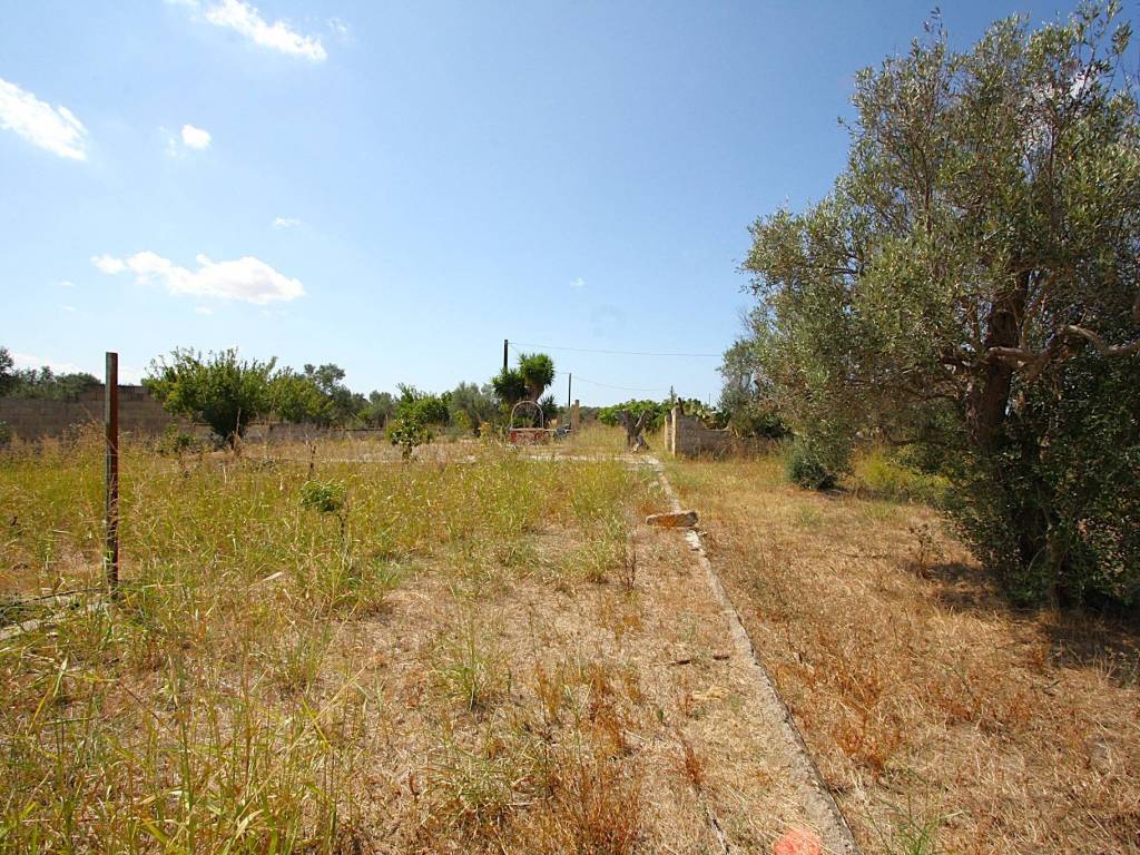 Terreno a Matino in Strada Vicinale di Calori - Foto 4