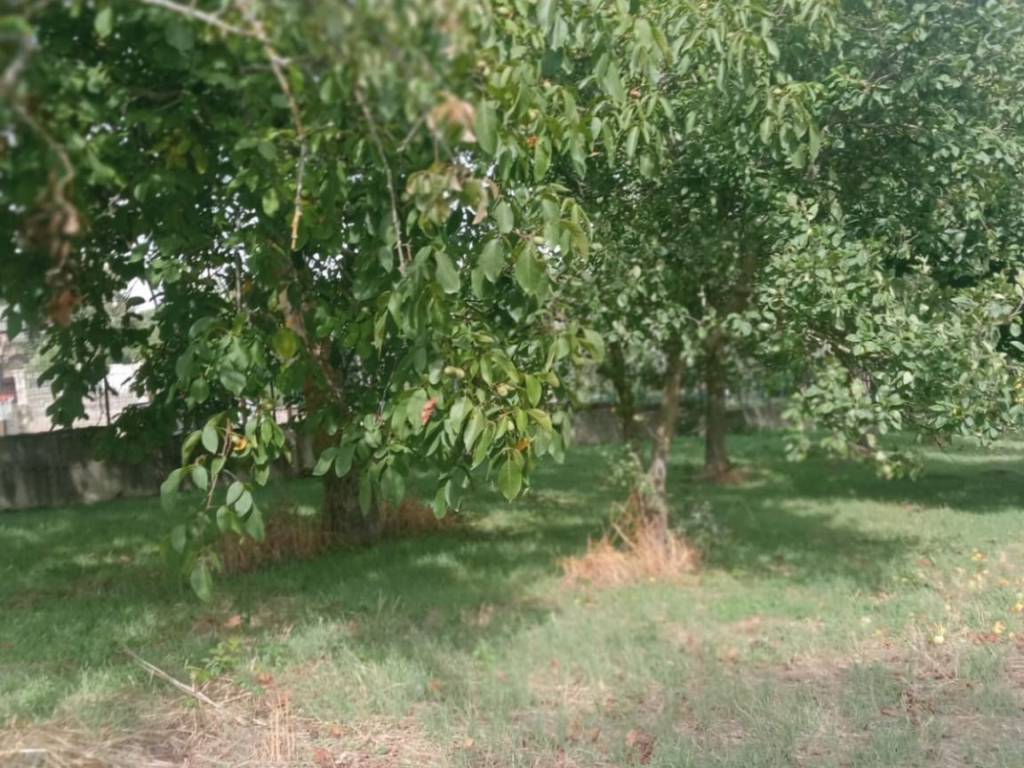 Terreno a Montemiletto in Contrada Zanfreda - Foto 2